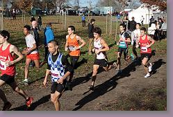 Begles 15.12.13 01 556 * 679 x 453 * (183KB)